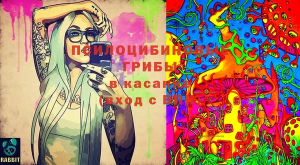 меф Инсар