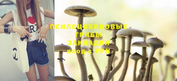 меф Инсар
