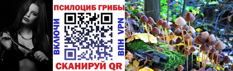 Купить где  Чухлома  Галлюциногенные грибы GOLDEN TEACHER 